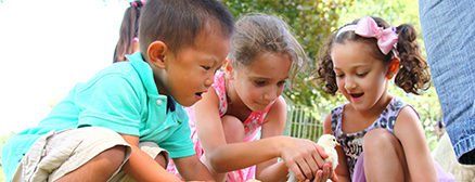 Preschool and Elementary School