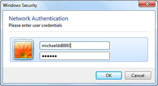 Network Authentication